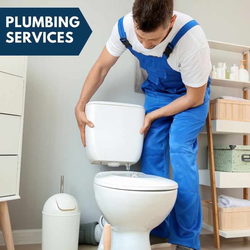 Plumbing Company in Linwood, MI